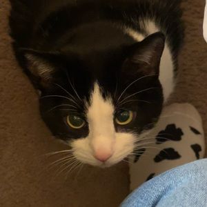 Meet your Posher, Eva